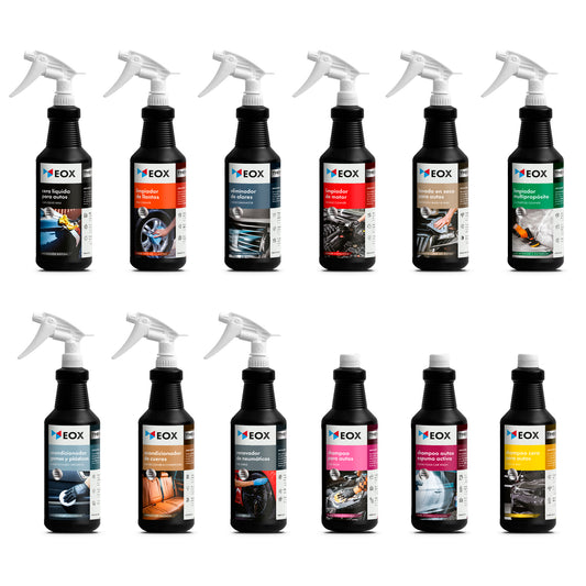 [KIT09] Caja Mixta THE 950 ml | Incluye 12 productos