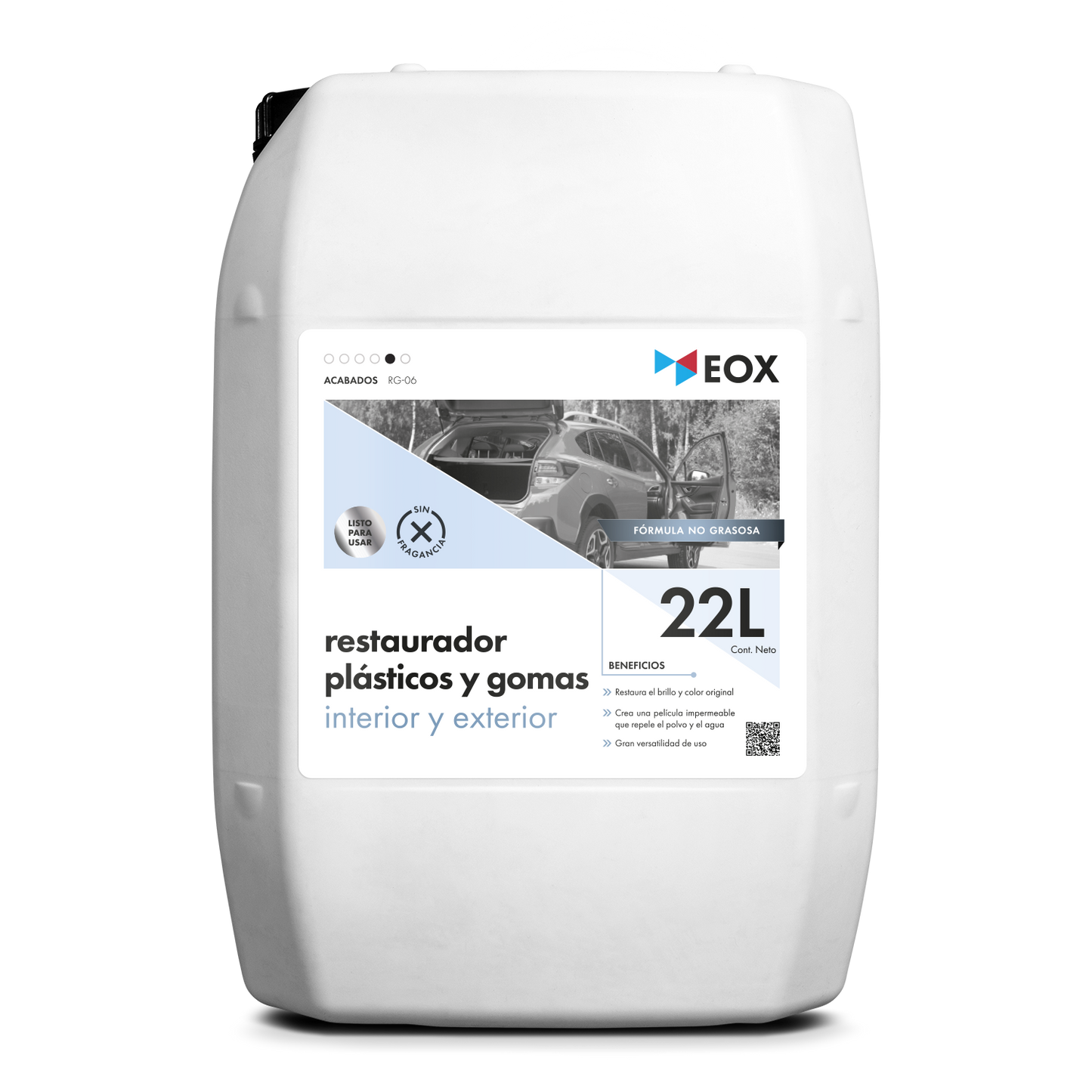 [RG06] Restaurador de Plásticos y Gomas | Interior y Exterior