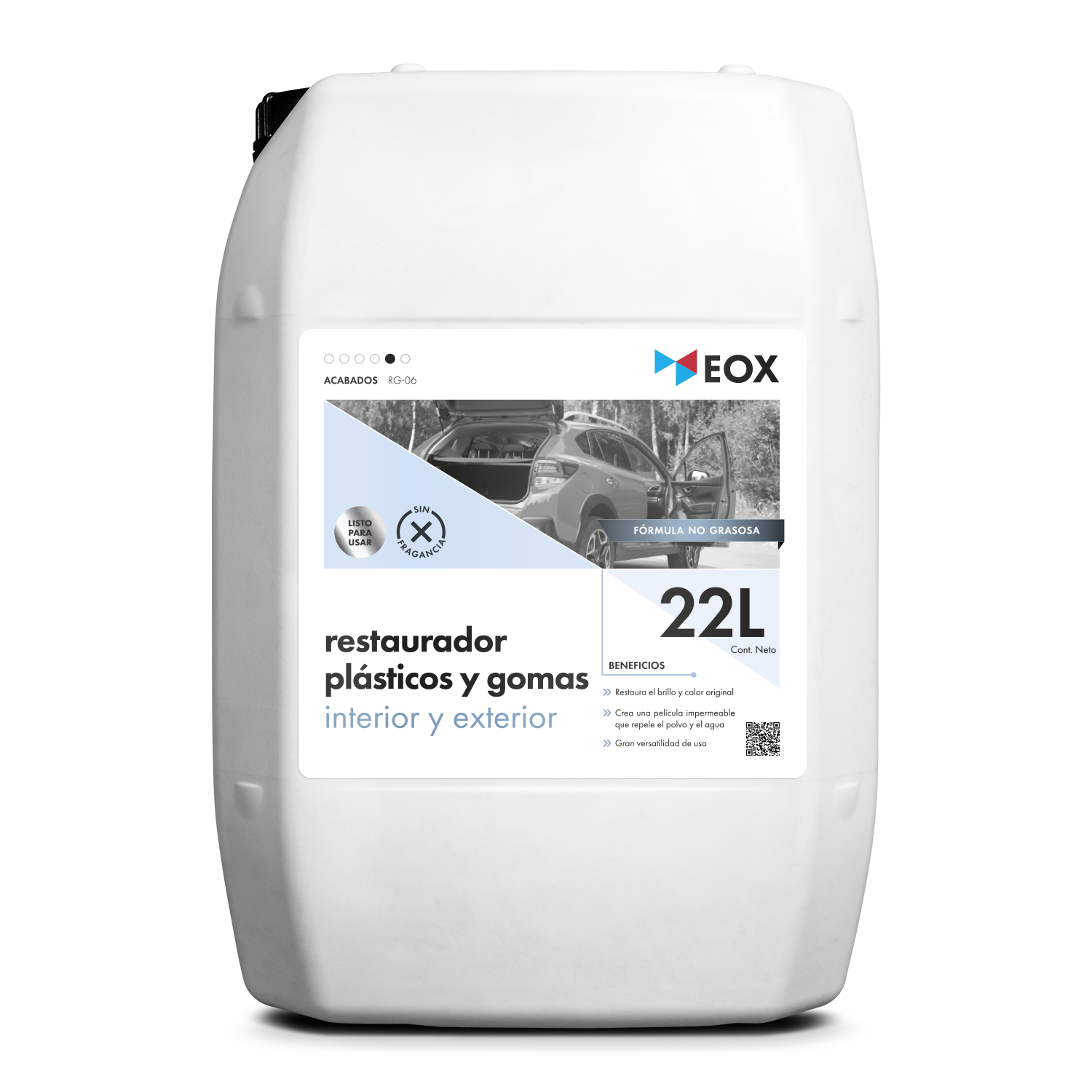 [RG06] Restaurador de Plásticos y Gomas | Interior y Exterior
