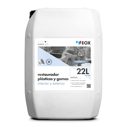 [RG06] Restaurador de Plásticos y Gomas | Interior y Exterior