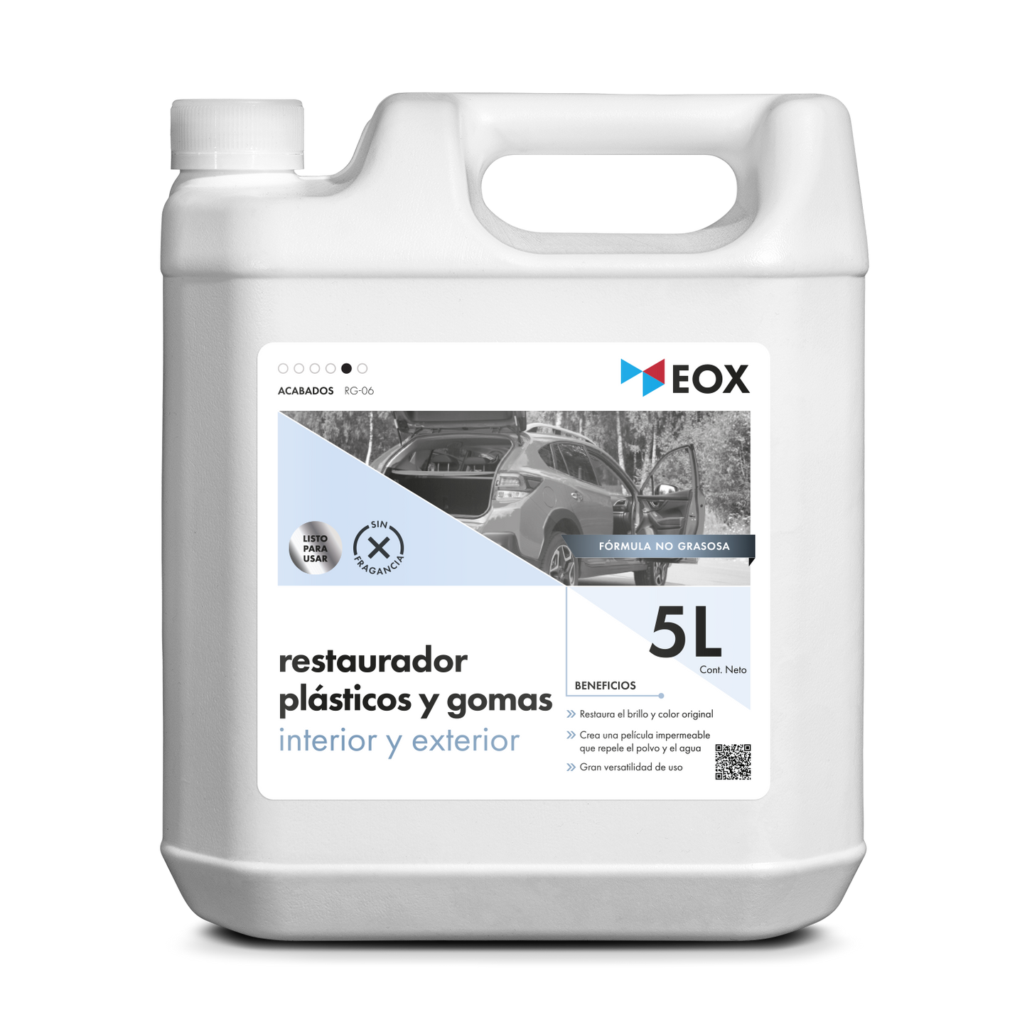 [RG06] Restaurador de Plásticos y Gomas | Interior y Exterior
