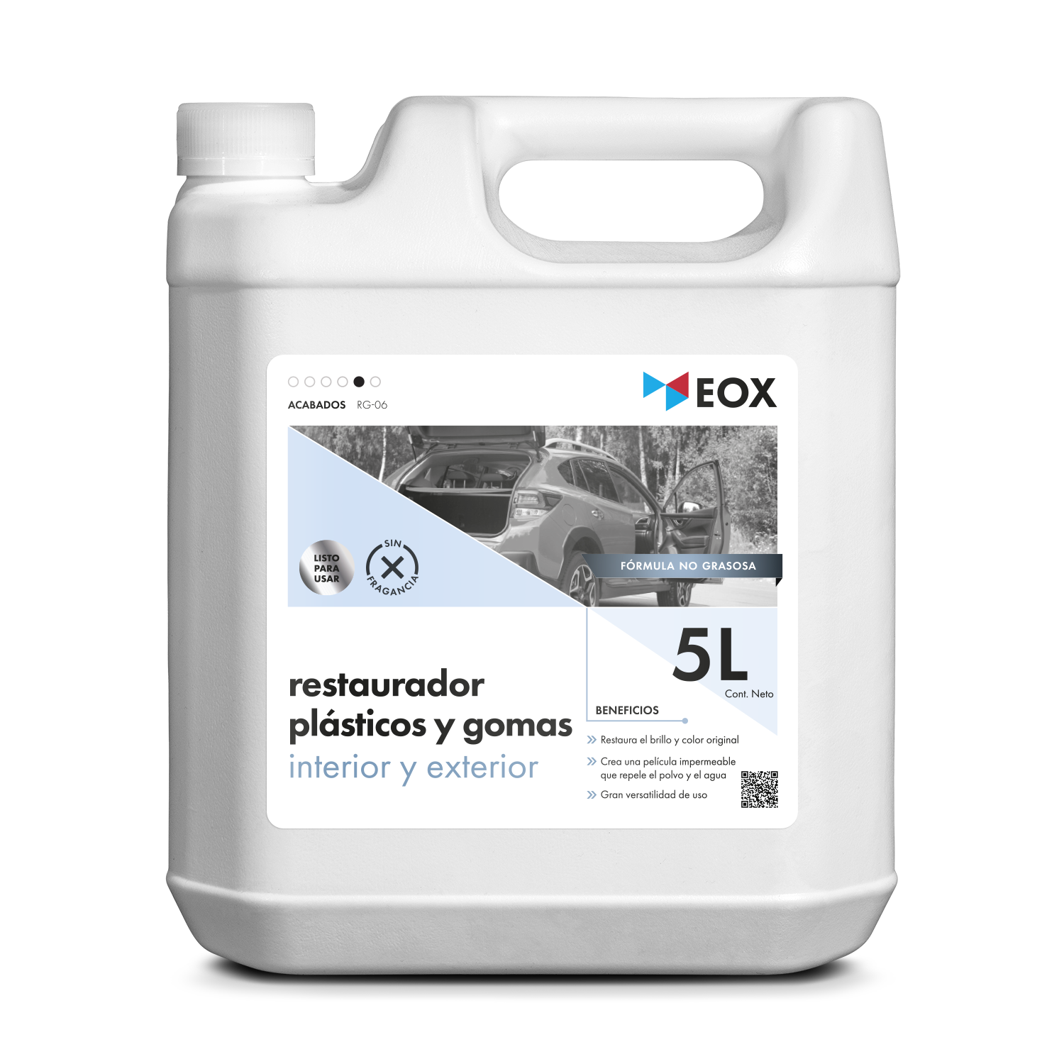 [RG06] Restaurador de Plásticos y Gomas | Interior y Exterior
